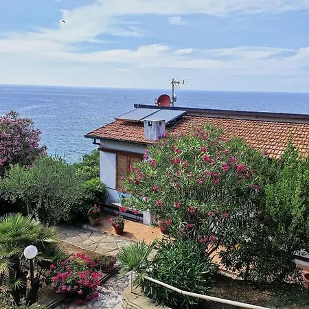 Acquamarina فيلة