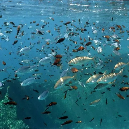 فيلة Acquamarina بورتوفيرّايو
